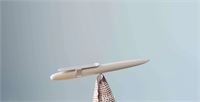 PENNA REALIZZATA CON CONCHIGLIE RICICLATE